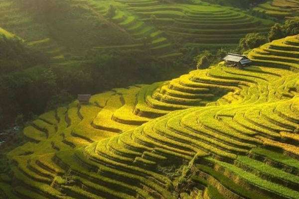 7D6N Magical Mu Cang Chai & Stunning Sapa Tour - photo 13